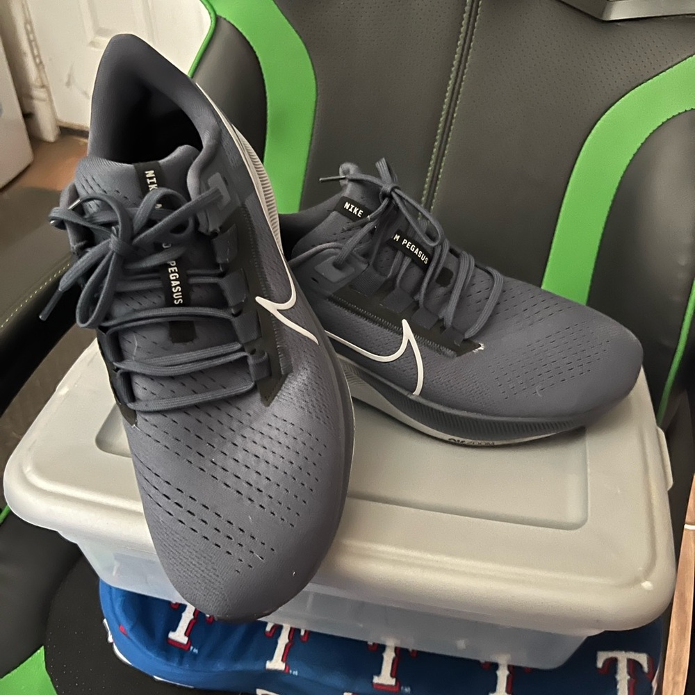 Pegasus 38
